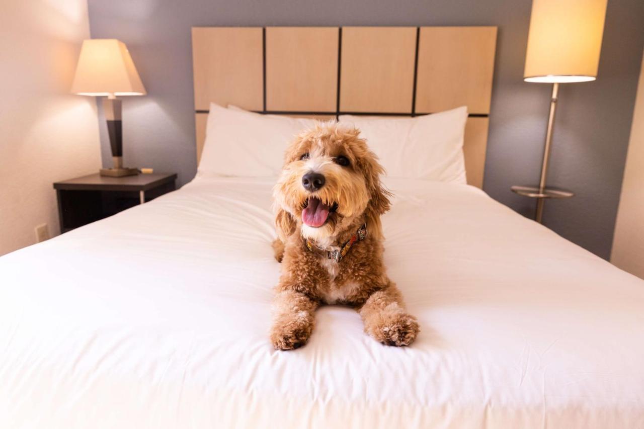 Sonesta Simply Suites Boston Braintree Εξωτερικό φωτογραφία